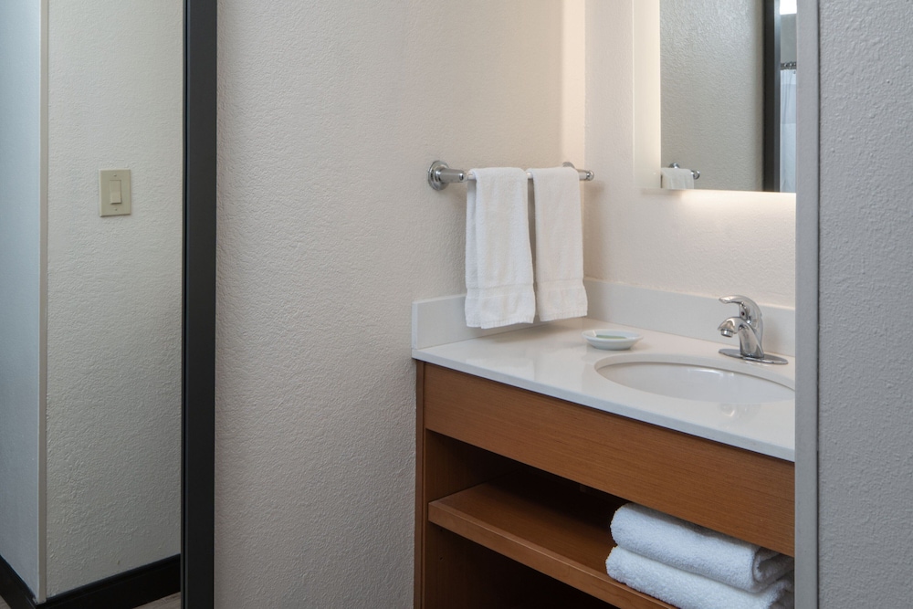 استوديو بسرير كينج مع أريكة، SpringHill Suites by Marriott Charleston Riverview 5/5