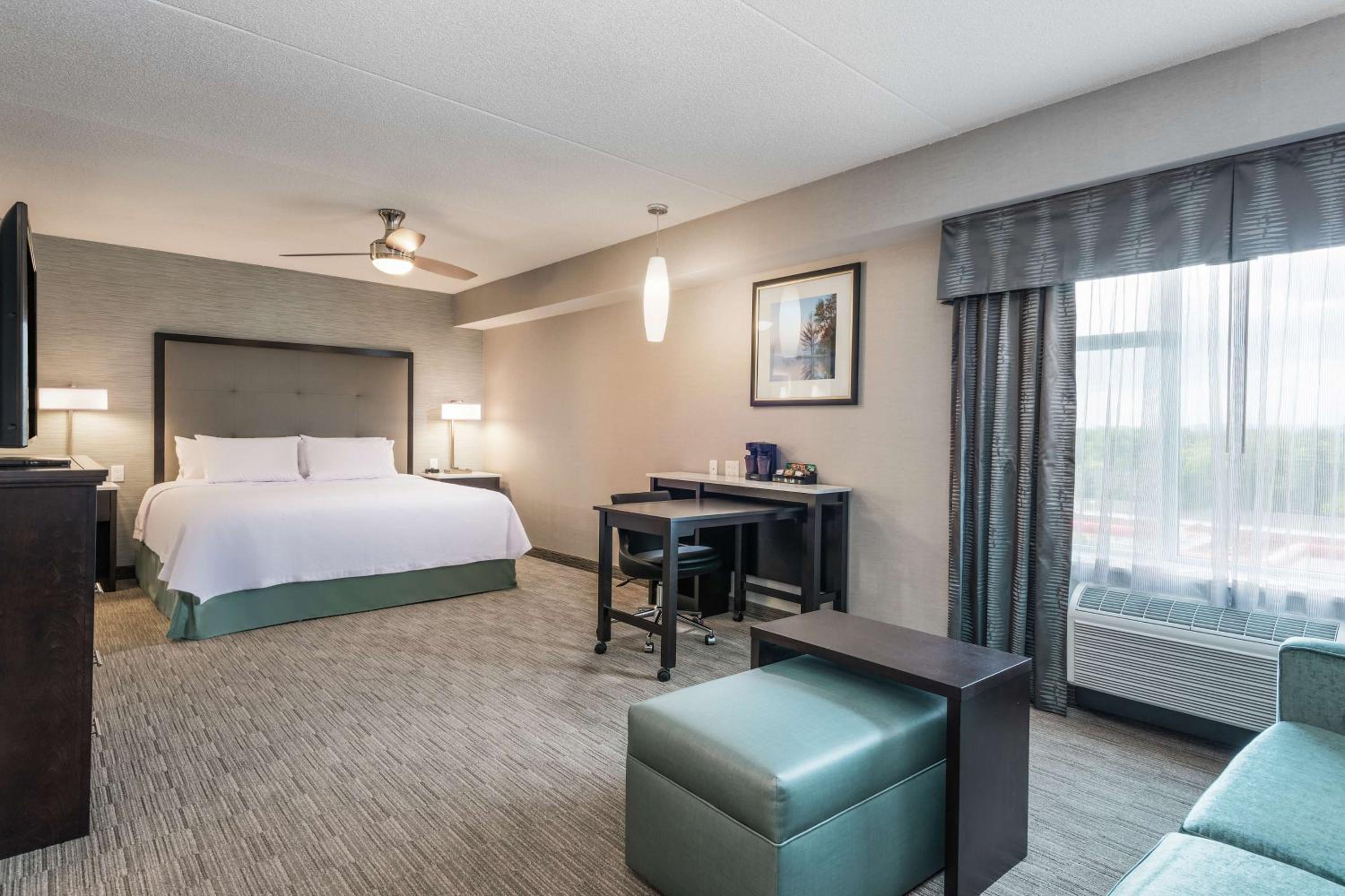 Studio, Suite, King Bed, Sofa