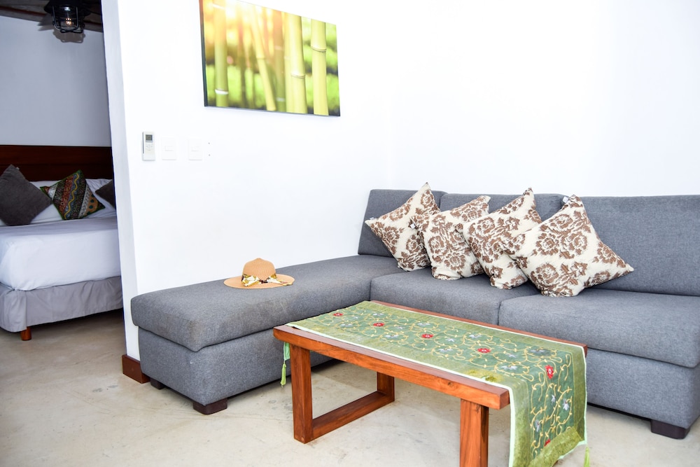 Zendero Tulum 29/50