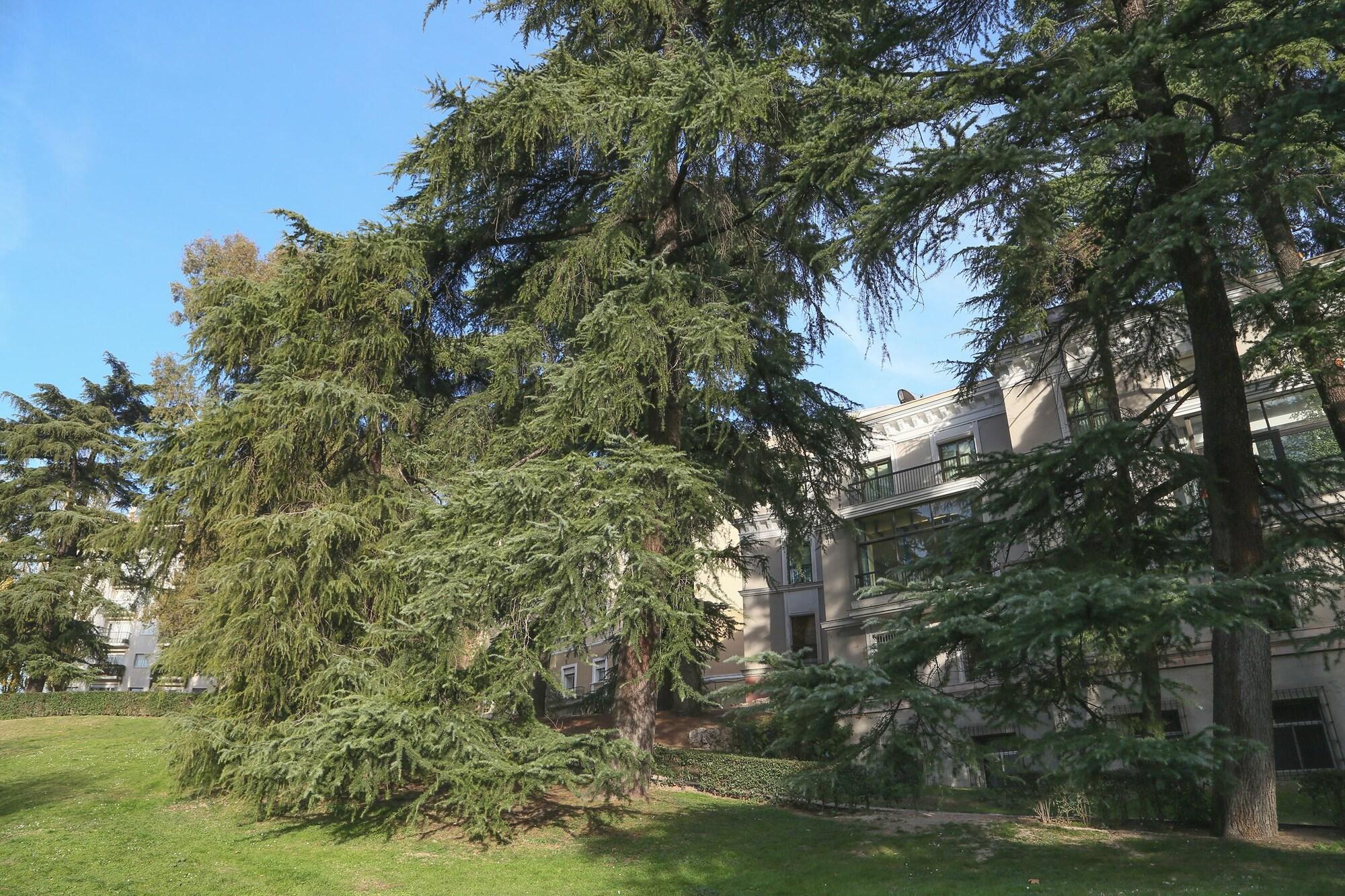 Hostels Meetingpoint 47/55
