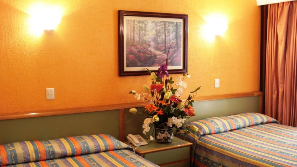 Segovia Regency Hotel 30/46