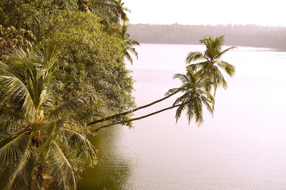 The Lalit Resort And Spa Bekal 56/68