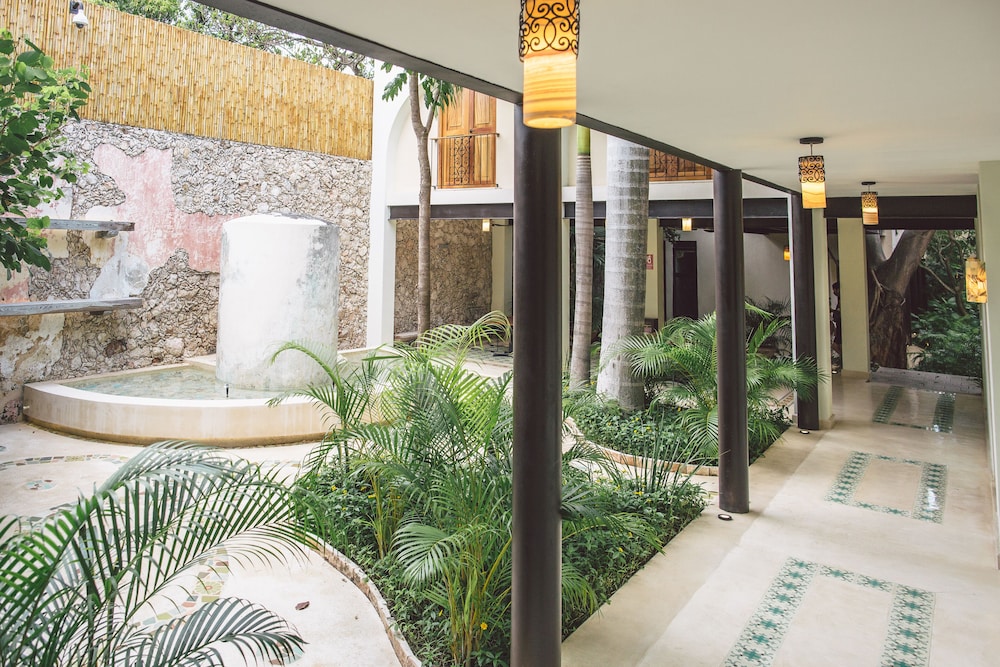 TreeHouse Boutique Hotel 50/50