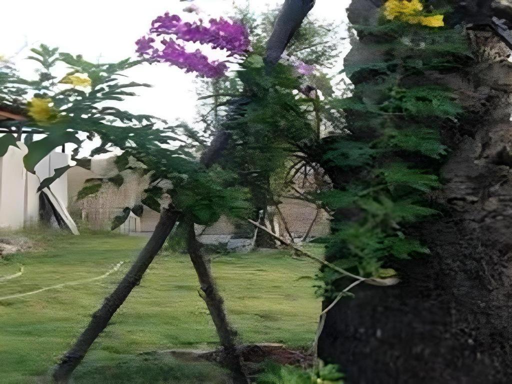 Baan Pan Din Resort 29/43