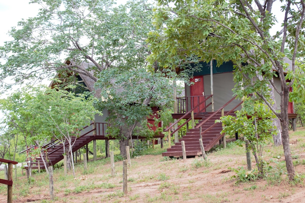 Lion Roars Lodge 28/46