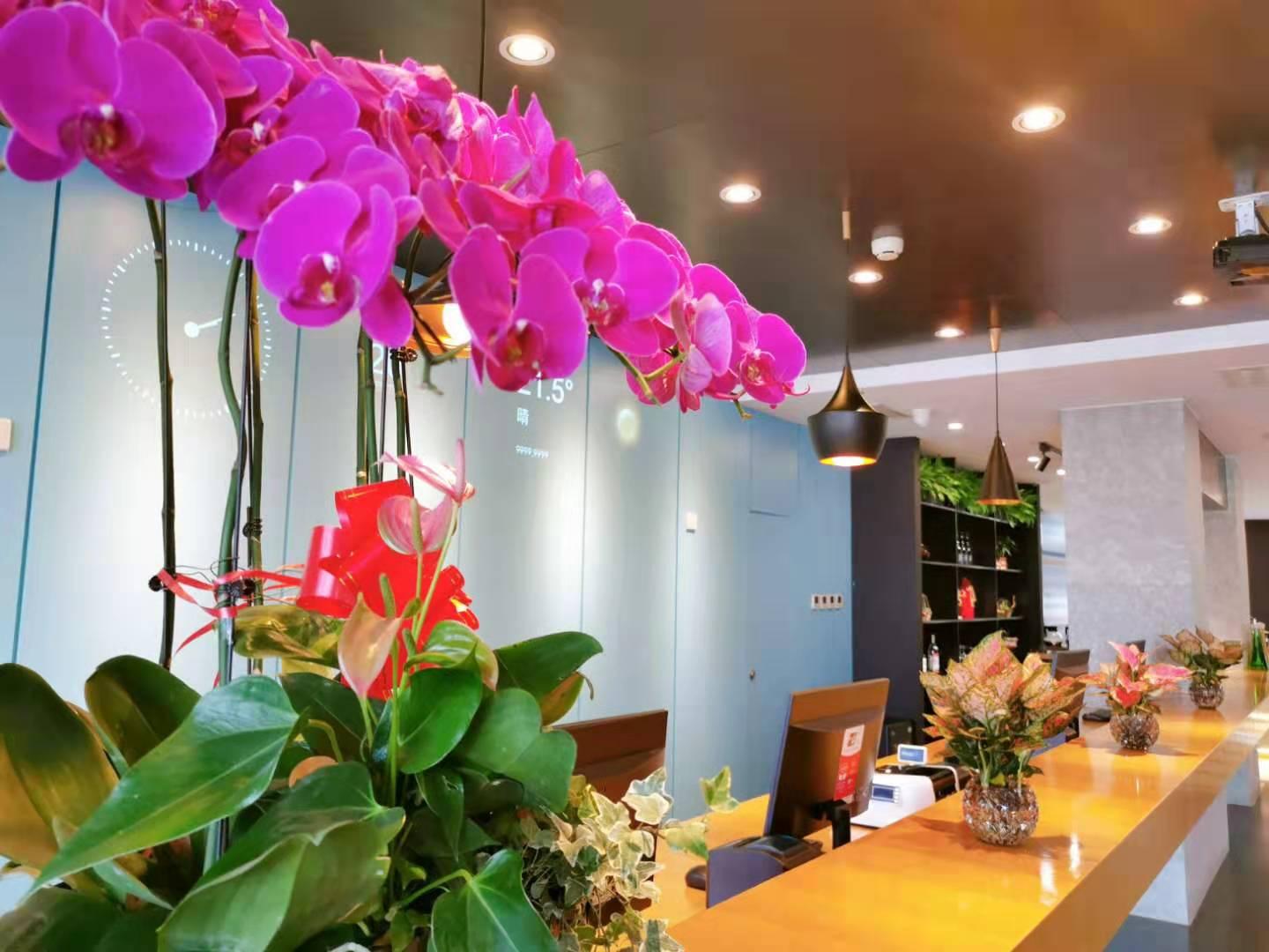 Ibis Hotel (Beijing Chaoyang Joy City) 33/50