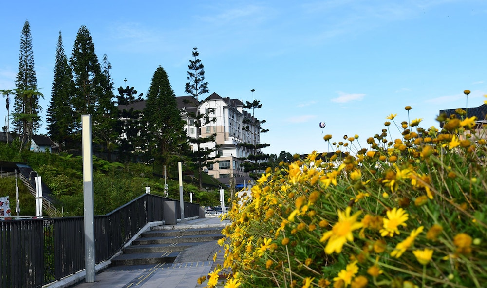 Avillion Cameron Highlands 40/41