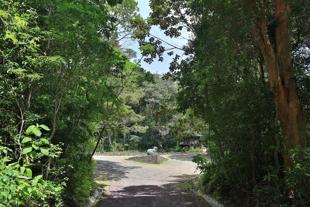 Senda Monteverde 66/71