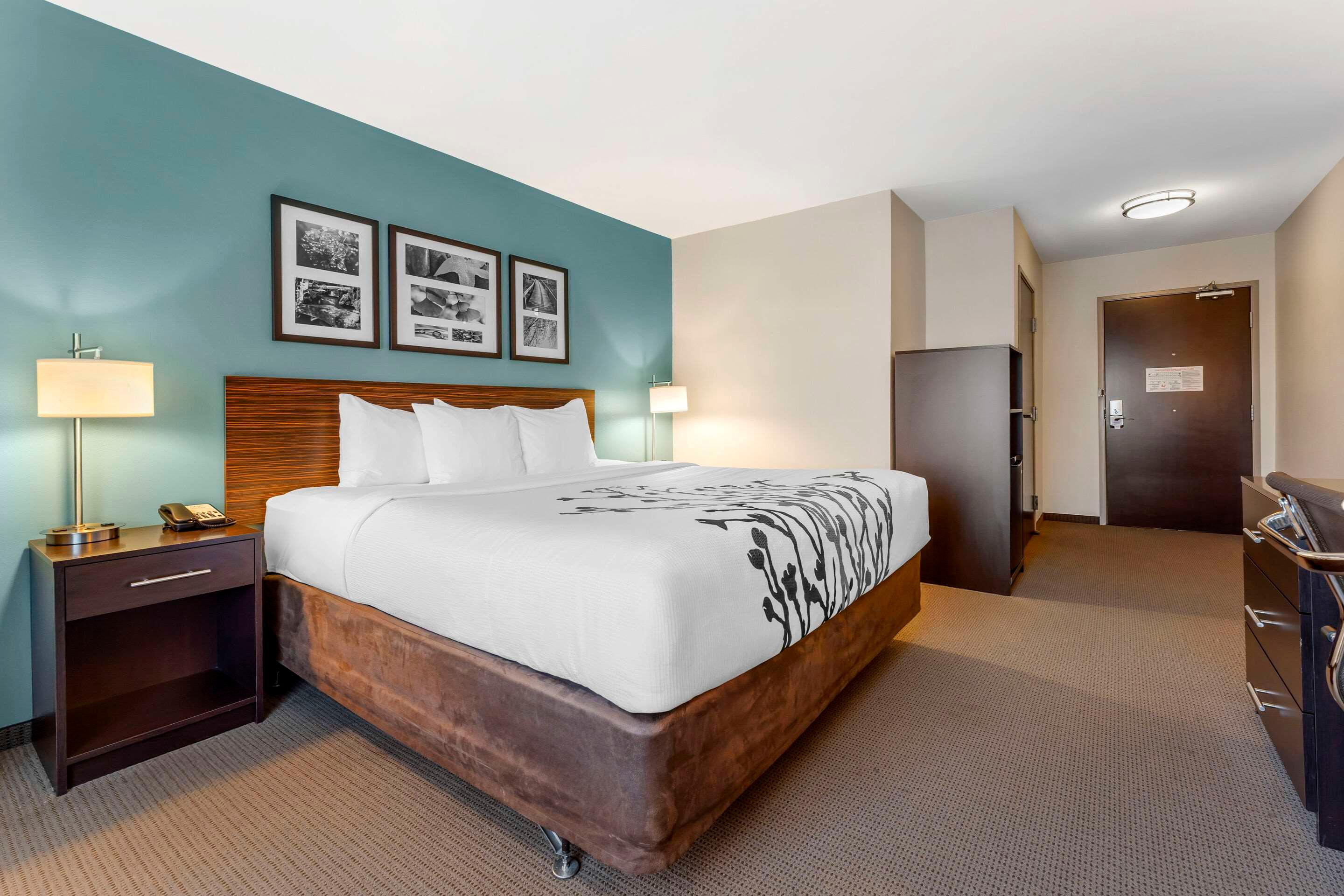 Room, Double Bed