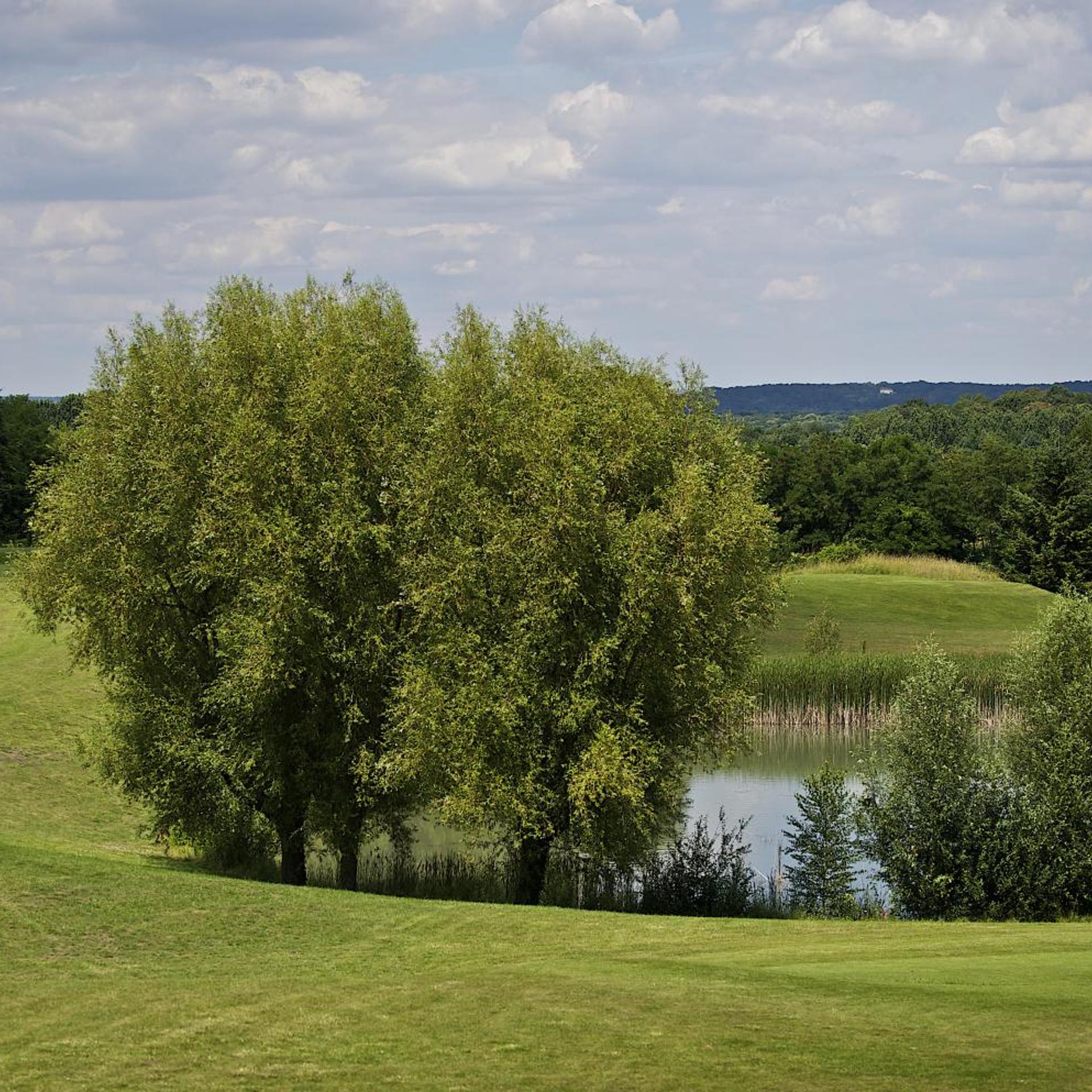 Golf Hotel de Mont Griffon 36/42