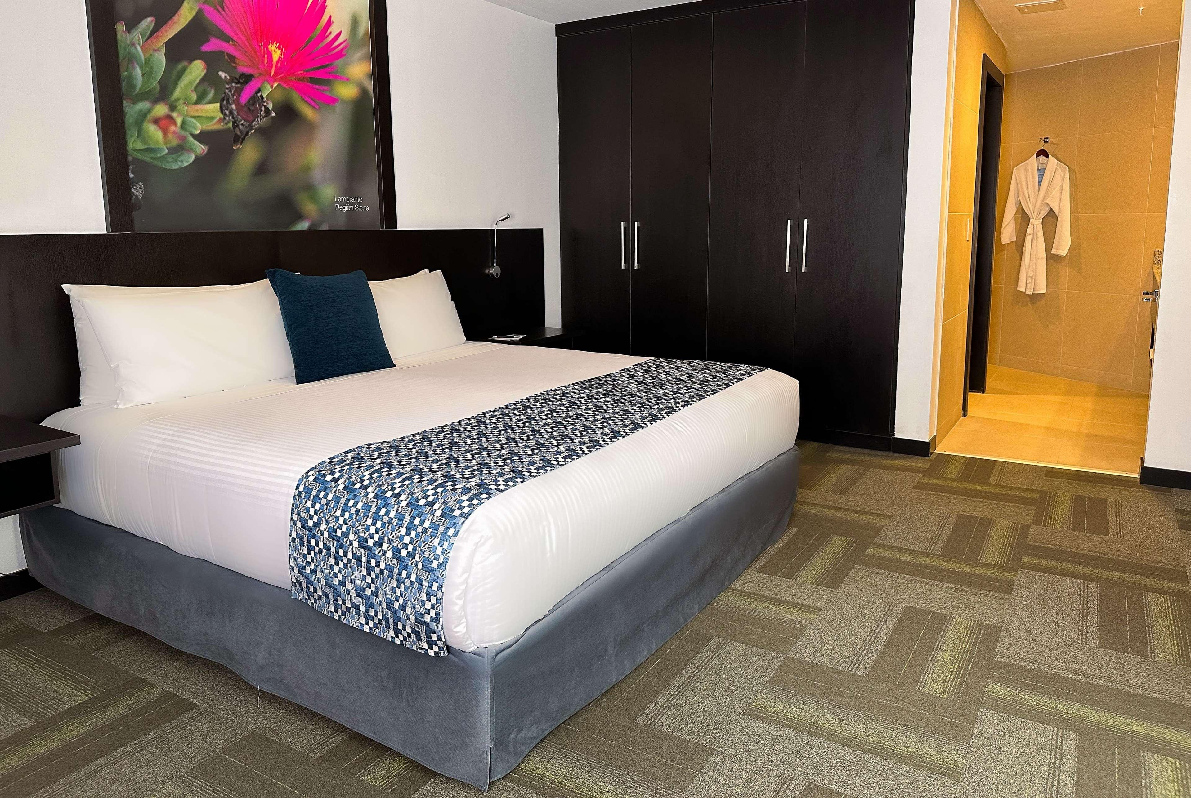 Suite, King Bed