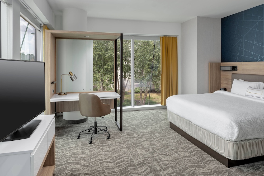 Springhill Suites By Marriott Downtown Greenville 18/63