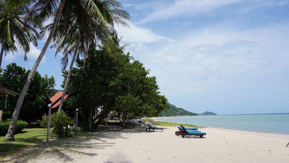Morning Star Resort 40/50