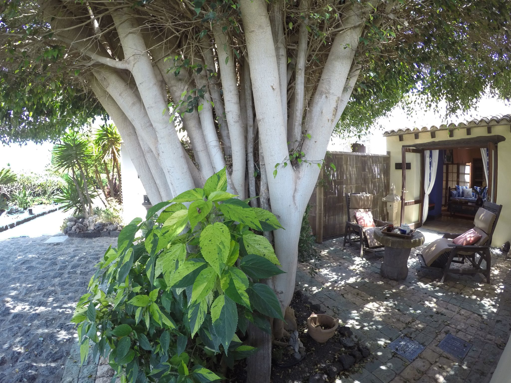 CASA TOMAREN 24/50