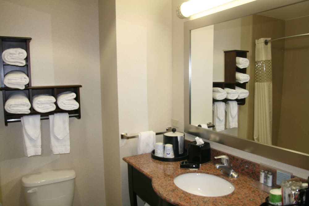 Hampton Inn Suites New Iberia Avery Island 22/47