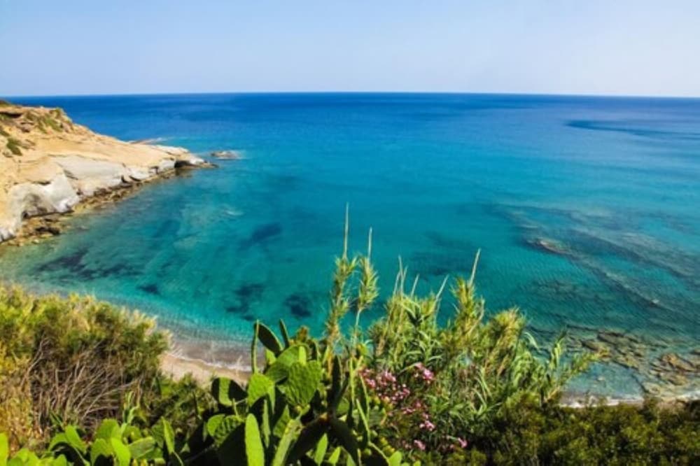 Elenas Beach Garden 9/16