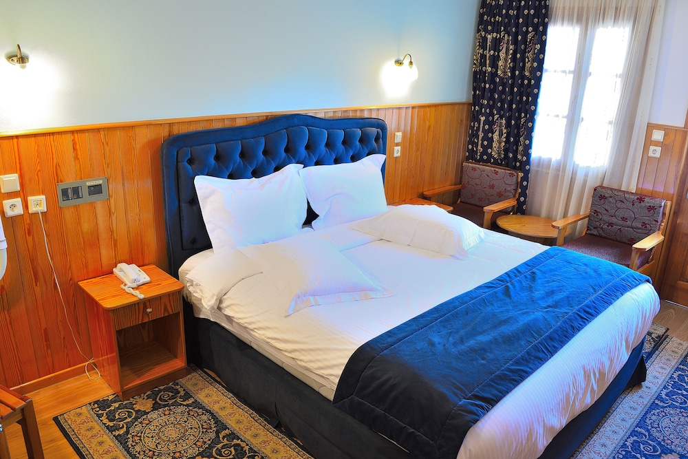 Asteri Metsovo 10/36