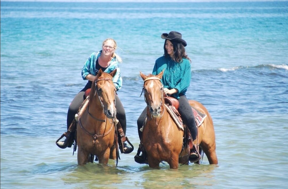 Horse Country Resort Congress & Spa 38/50