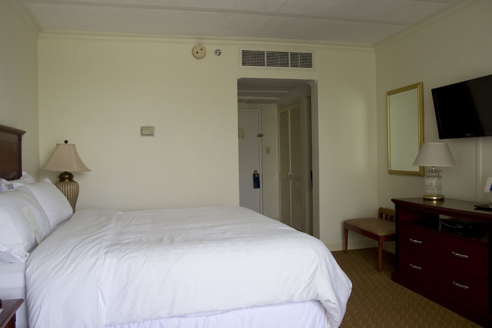 Junior Suite, King Bed