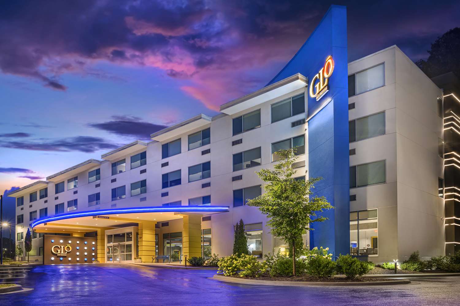 Glo Best Western Asheville Tunnel Road 2/34