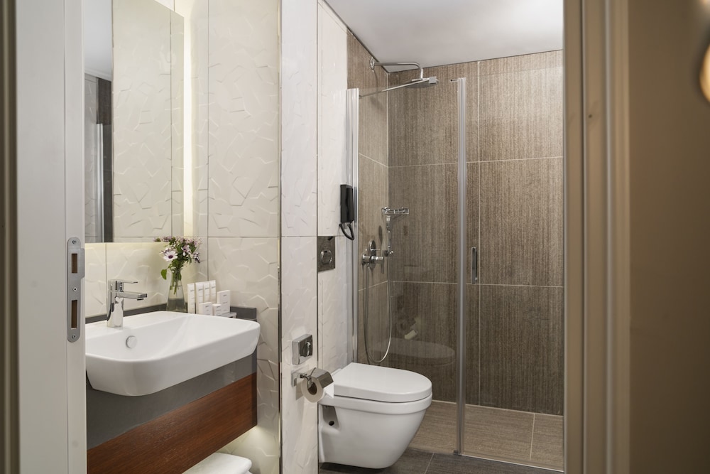 Royan Hotel Hagia Sophia Istanbul, A Member of Radisson Individuals 47/50