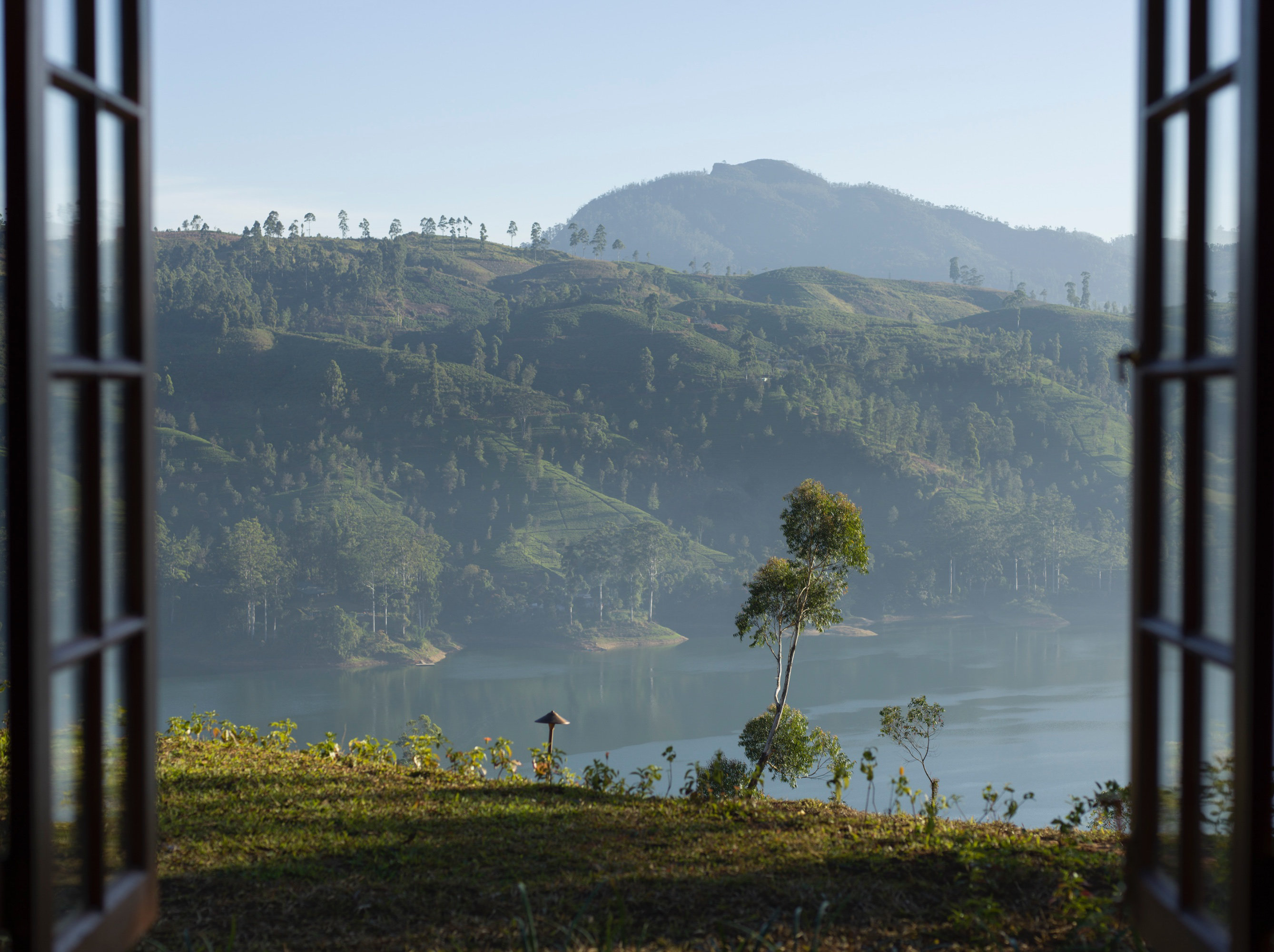 Tea Trails 40/43