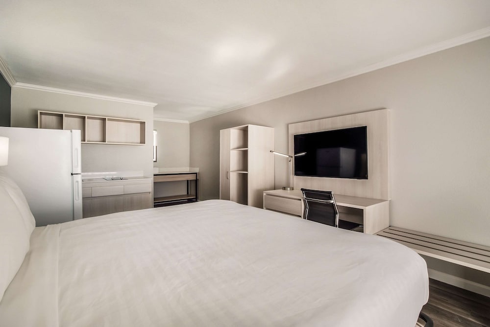 Standard, King Bed