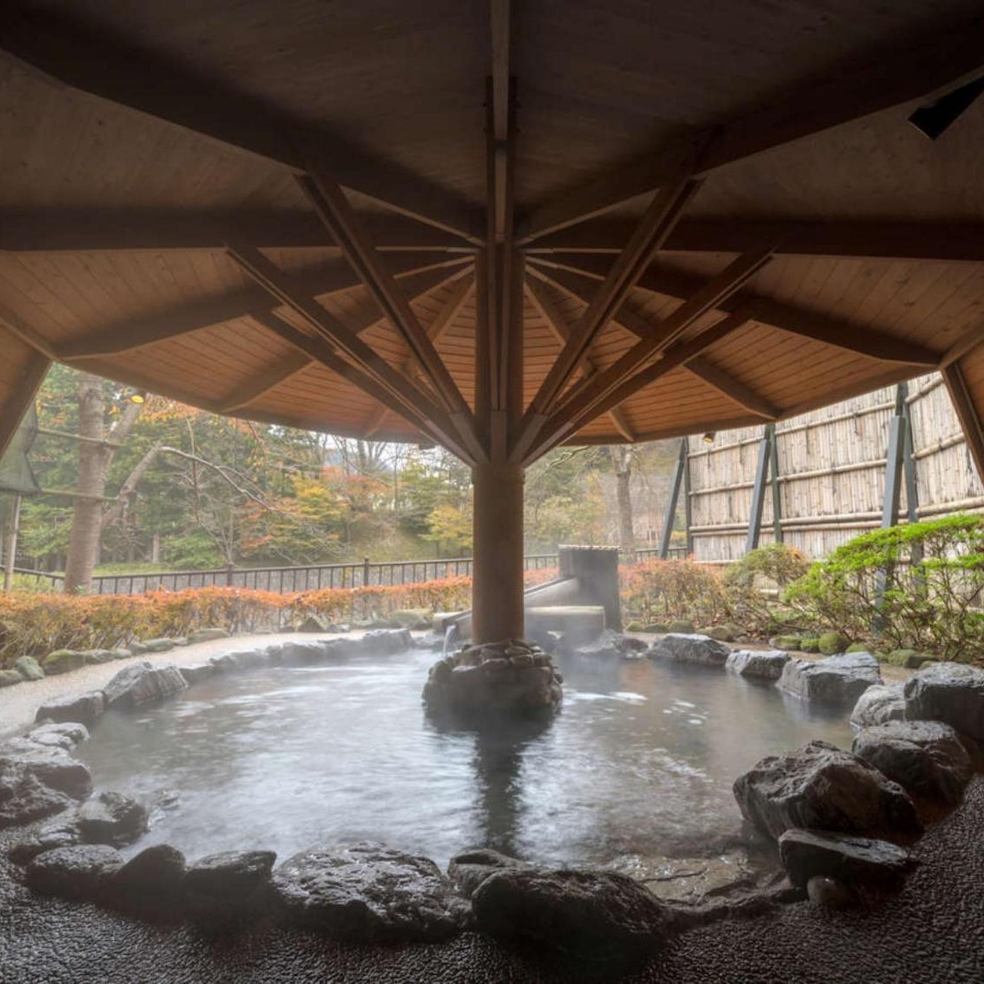 Tsuchiyu Onsen Harumiya Ryokan 36/54