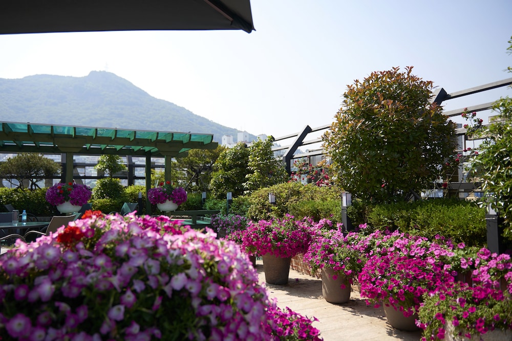 釜山ビーチホテル 写真2