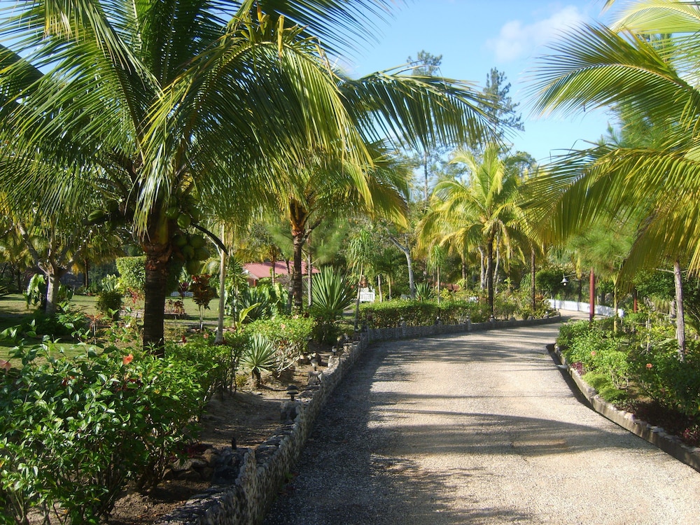 surroundings