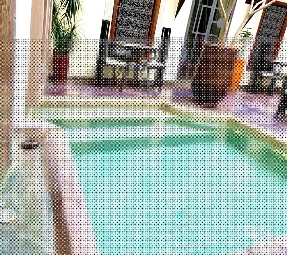 Riad Jardin Des Rêves 30/50