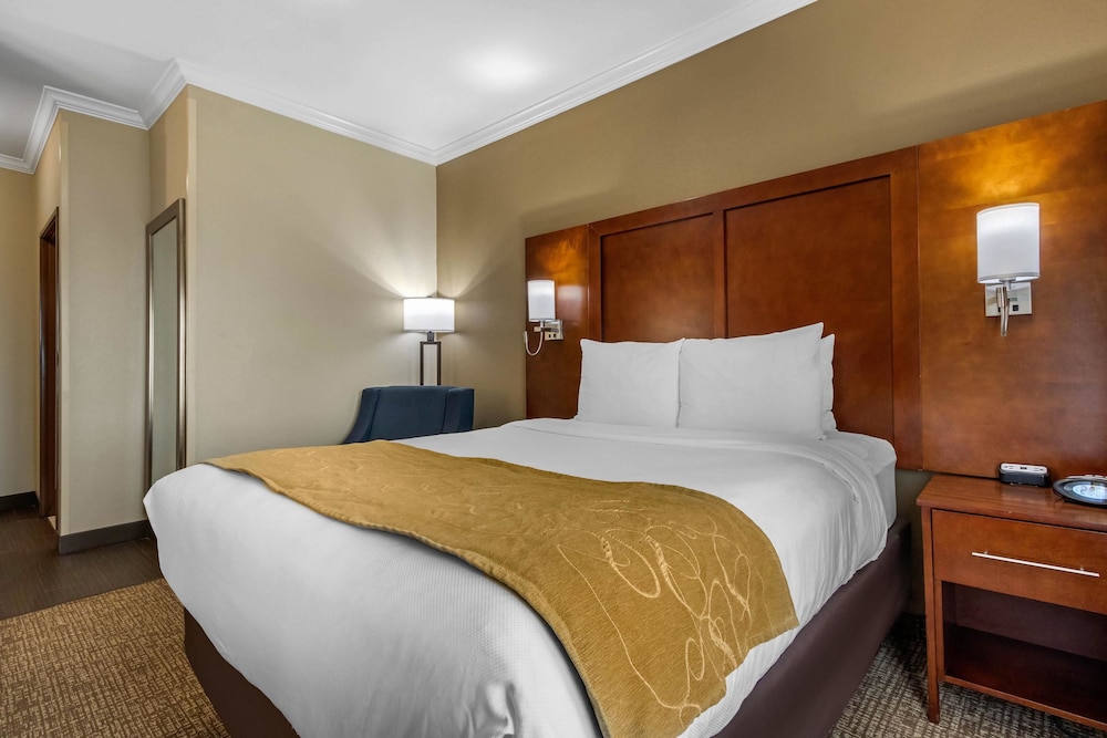 Comfort Suites Corpus Christi Central 8/34