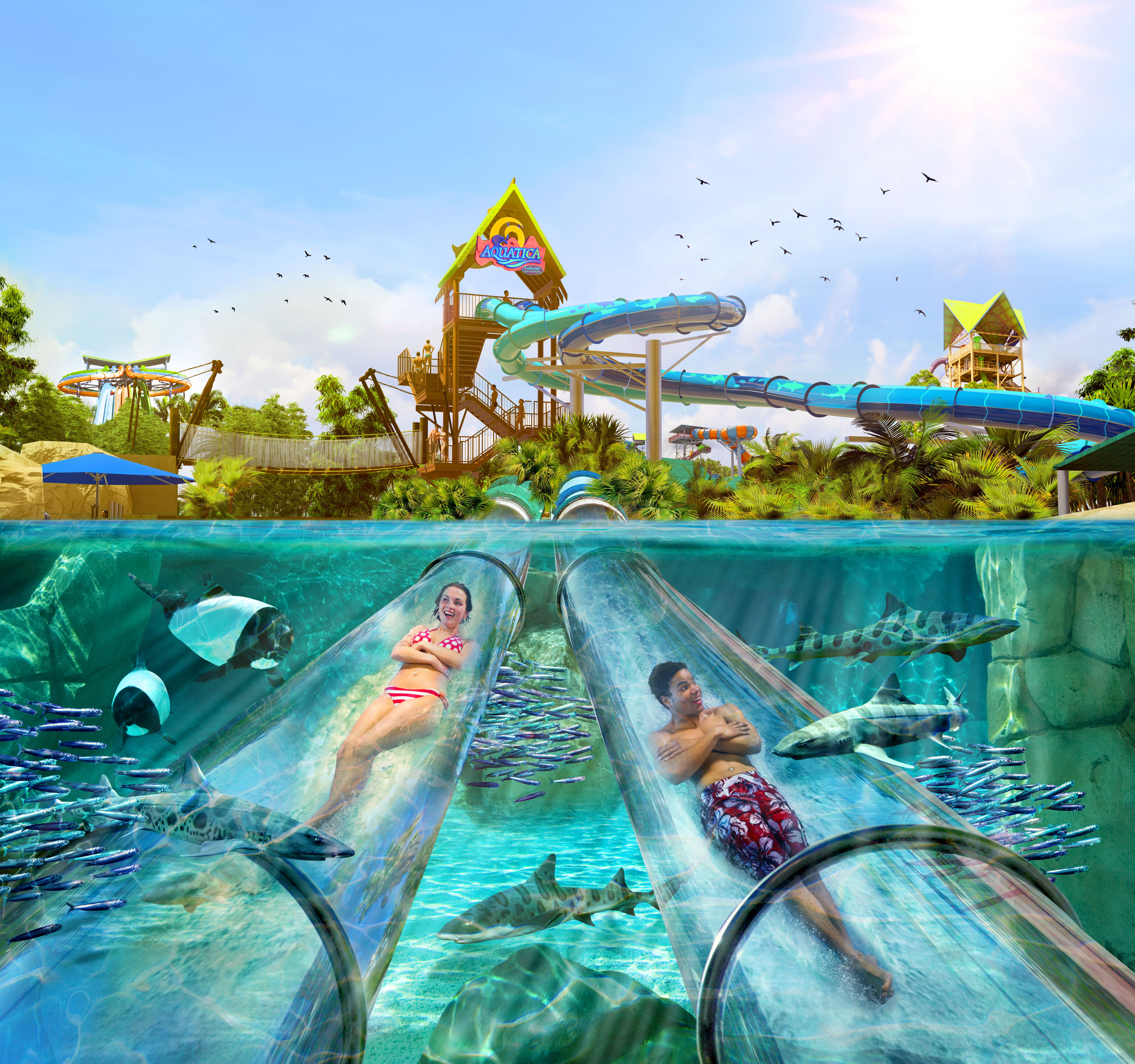 Staybridge Suites Orlando At Seaworld 39/50