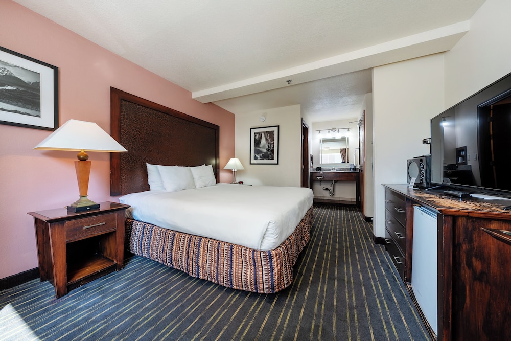 District Hotel 23/50