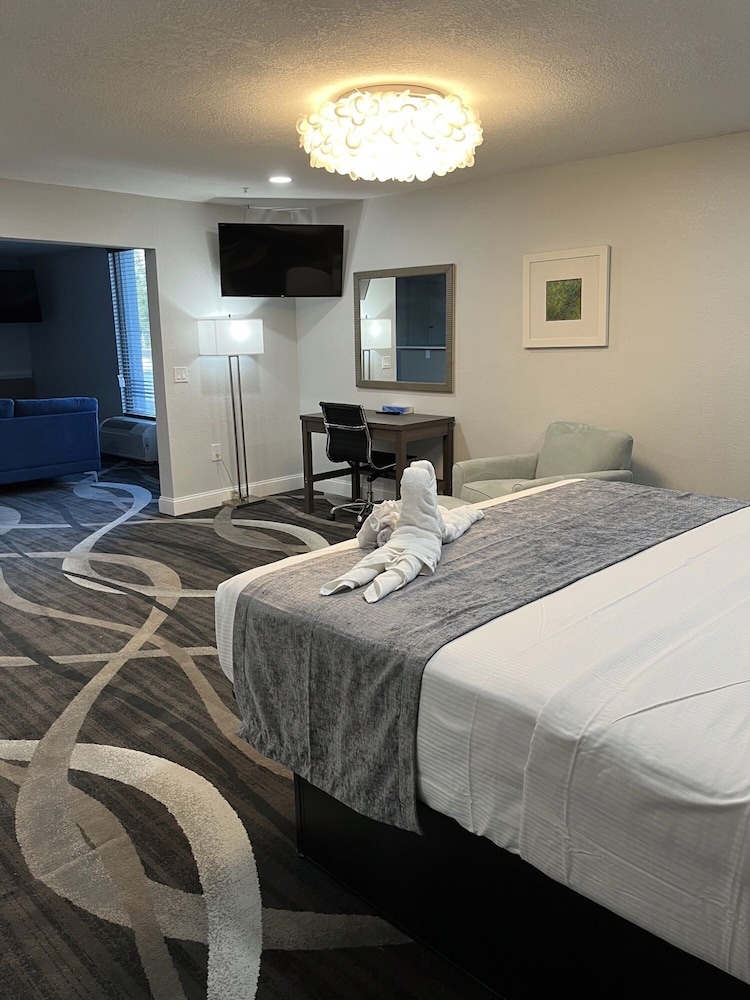 Opal Hotel and Suites 41/50
