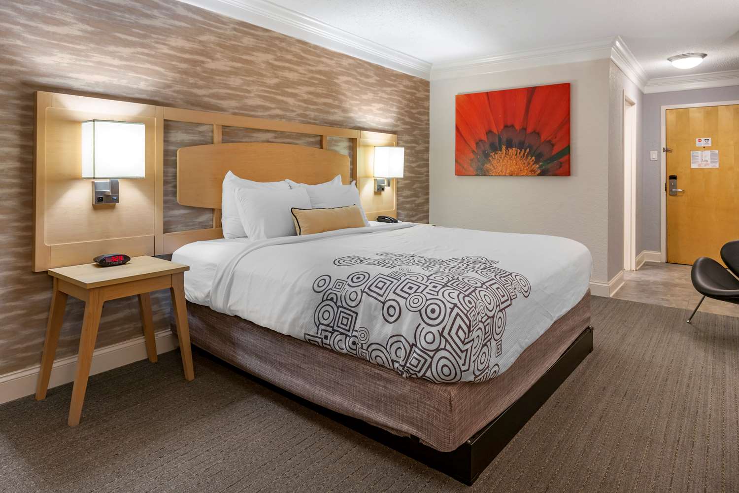 Room, King Bed