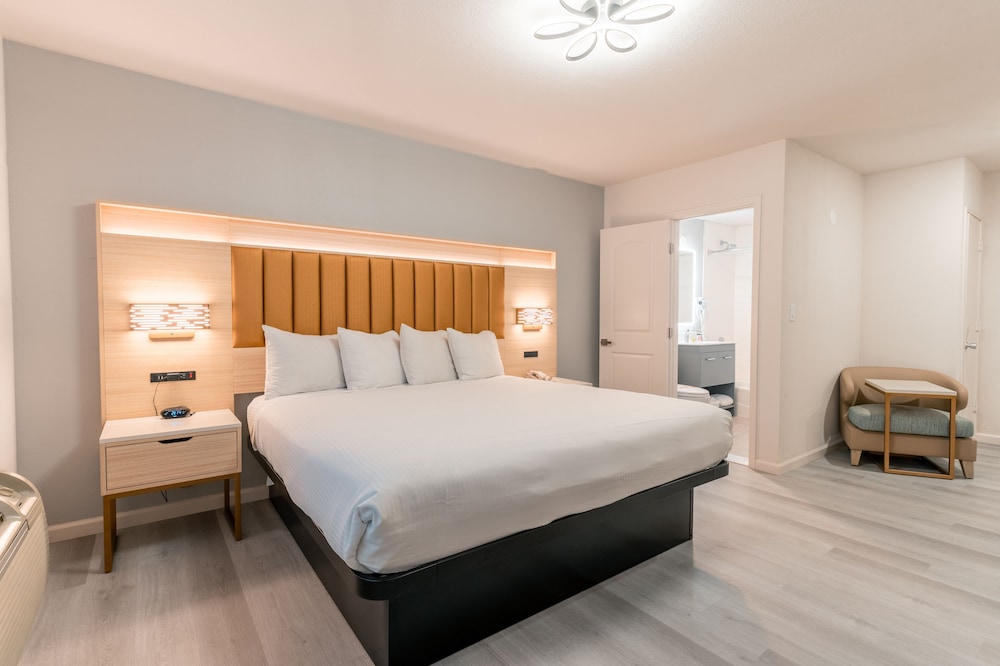 DELUXE, KING BED