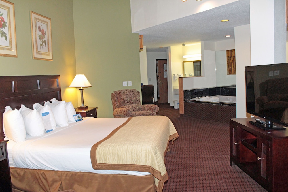 Baymont By Wyndham Battle Creek Downtown 17/39