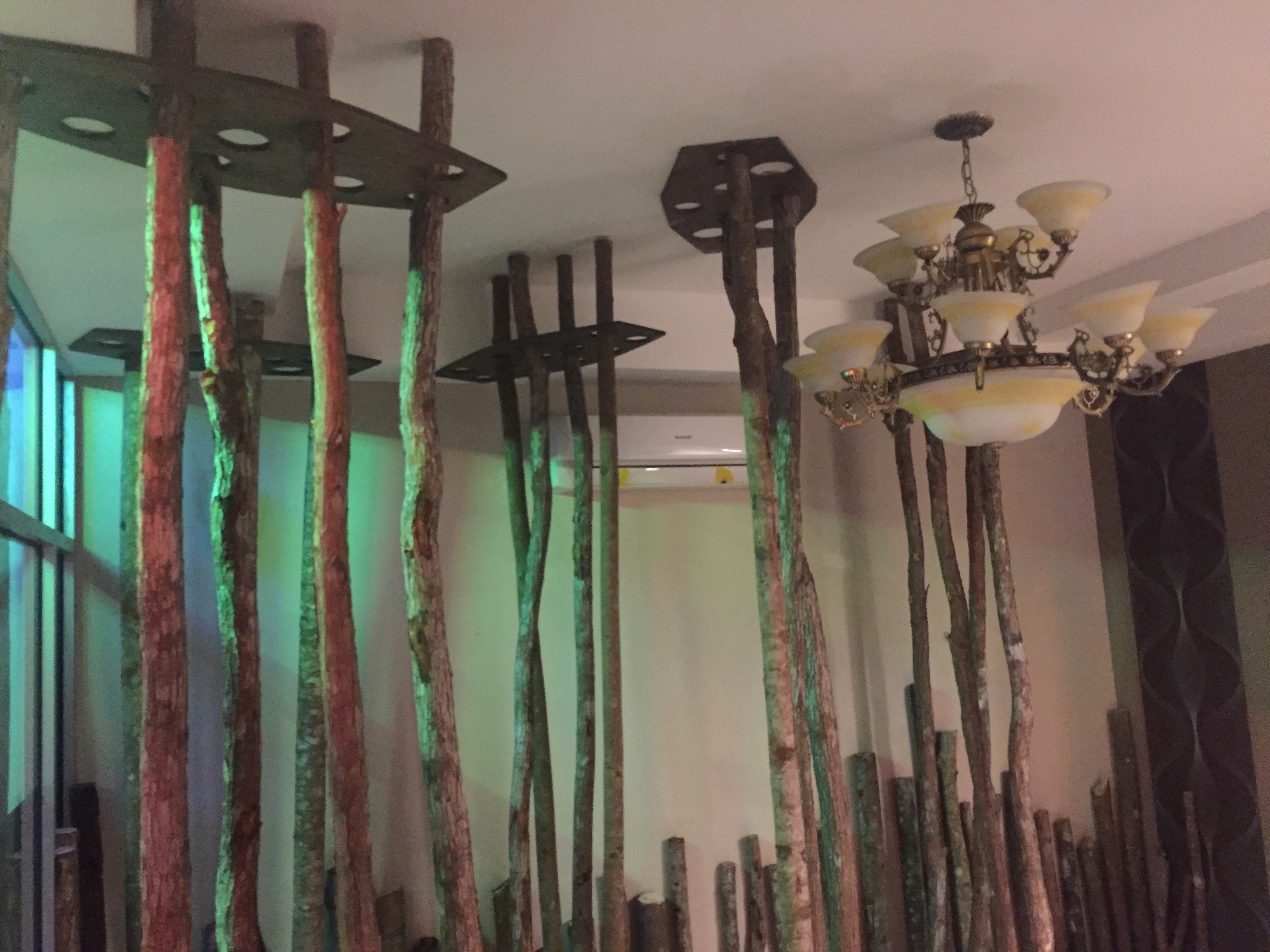 Rainforest Budget Stay 35/39