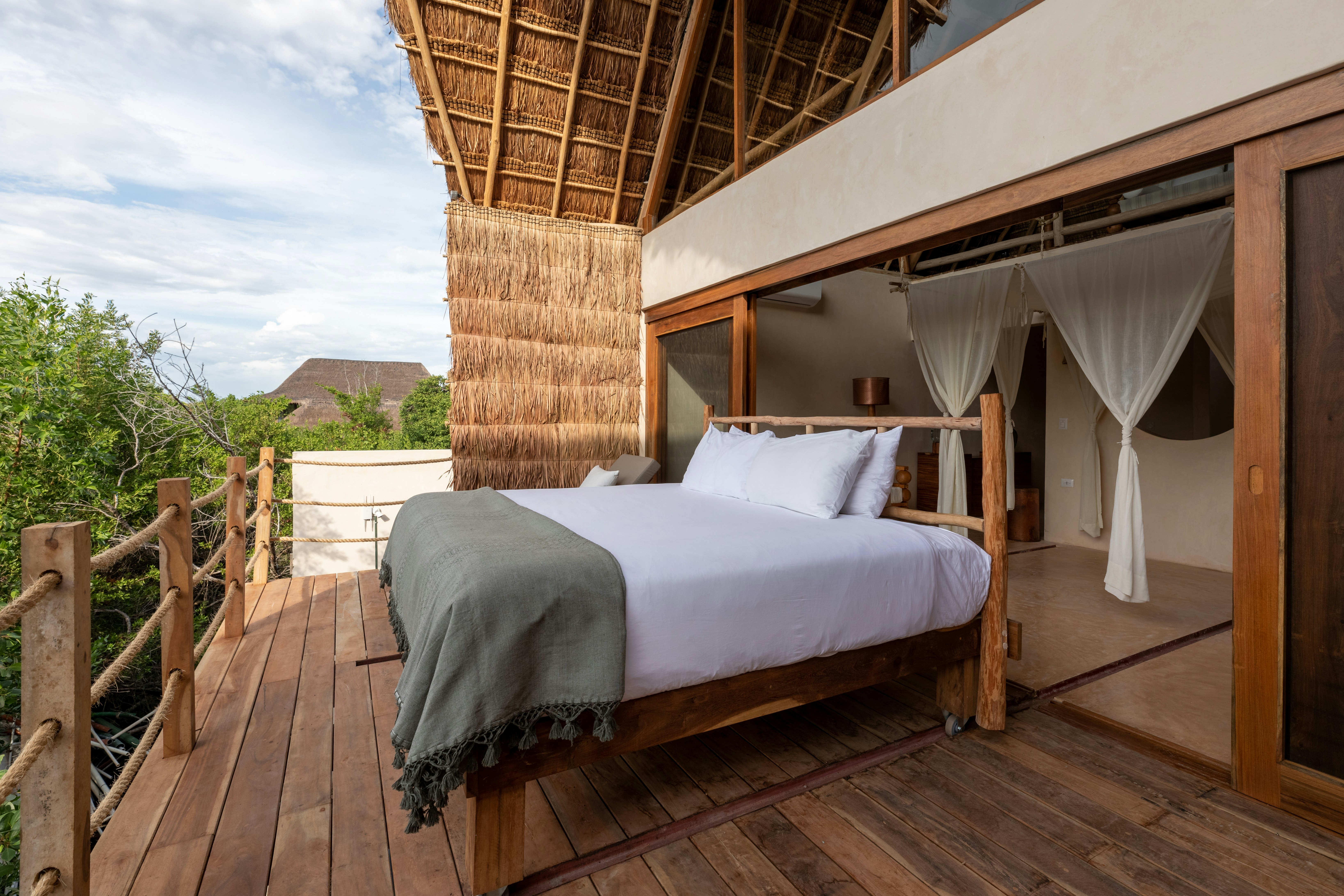 Signature, Upper, Suite, Jungle Side