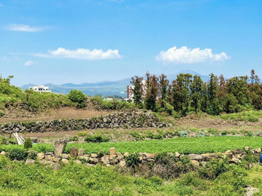 Y Resort Jeju 69/73