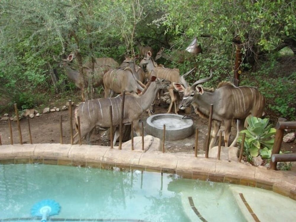 Marloth Kruger Accommodation 43/50