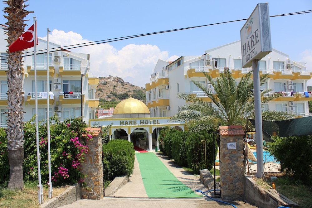 Hare Hotel 26/47