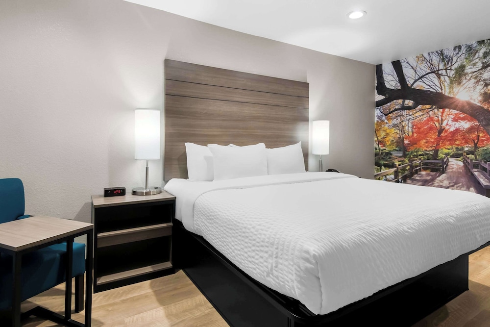 EFFICIENCY, KING BED