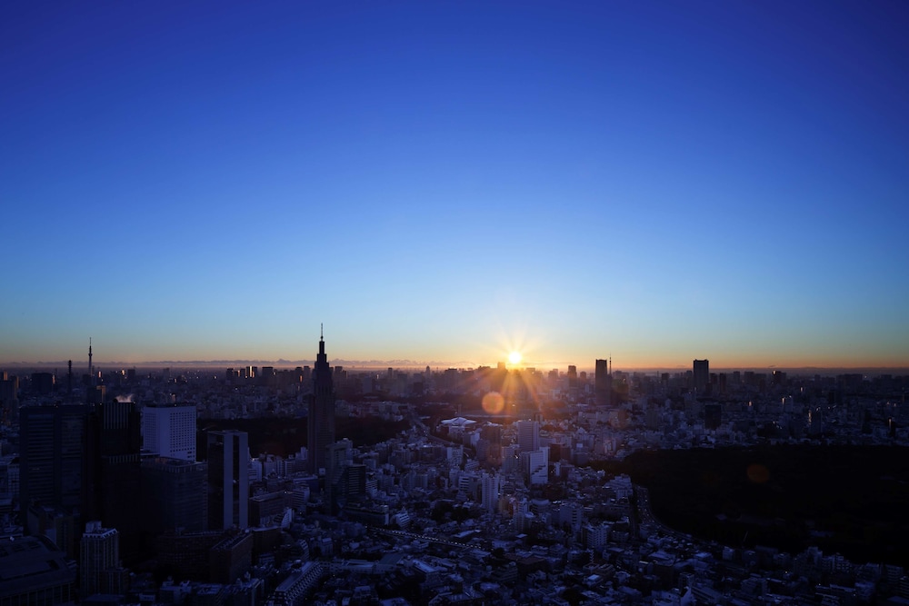 Park Hyatt Tokyo 61/64