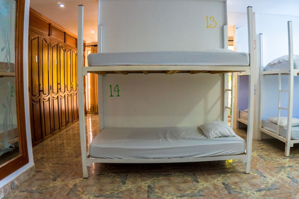 Wonderland Party Hostel 37/51