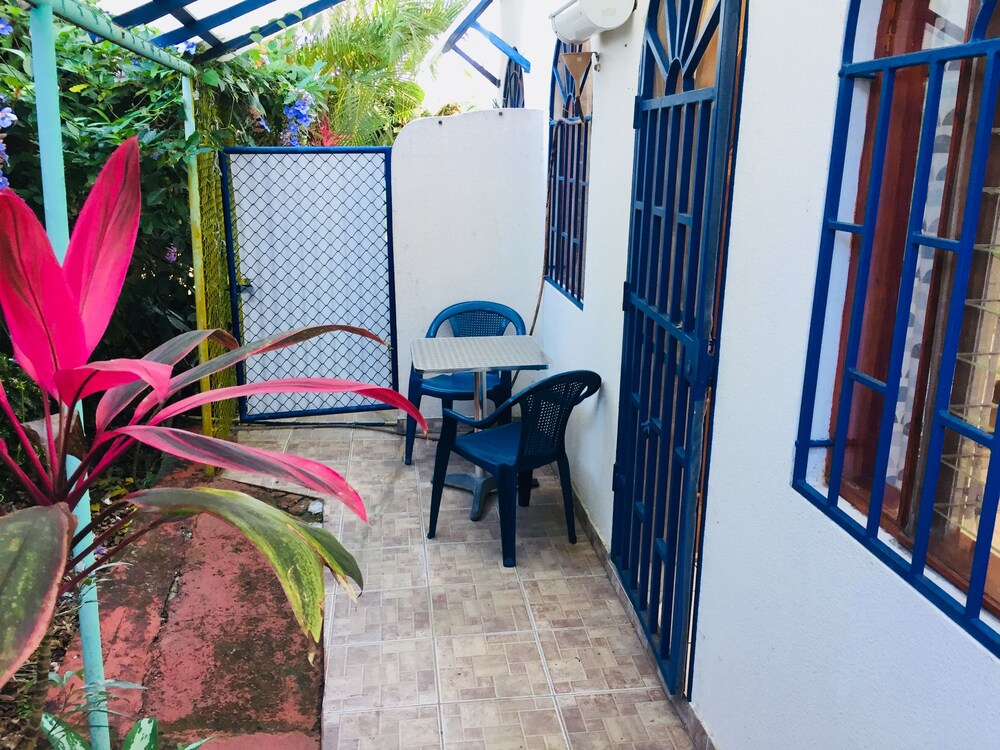 La Perlita 39/50