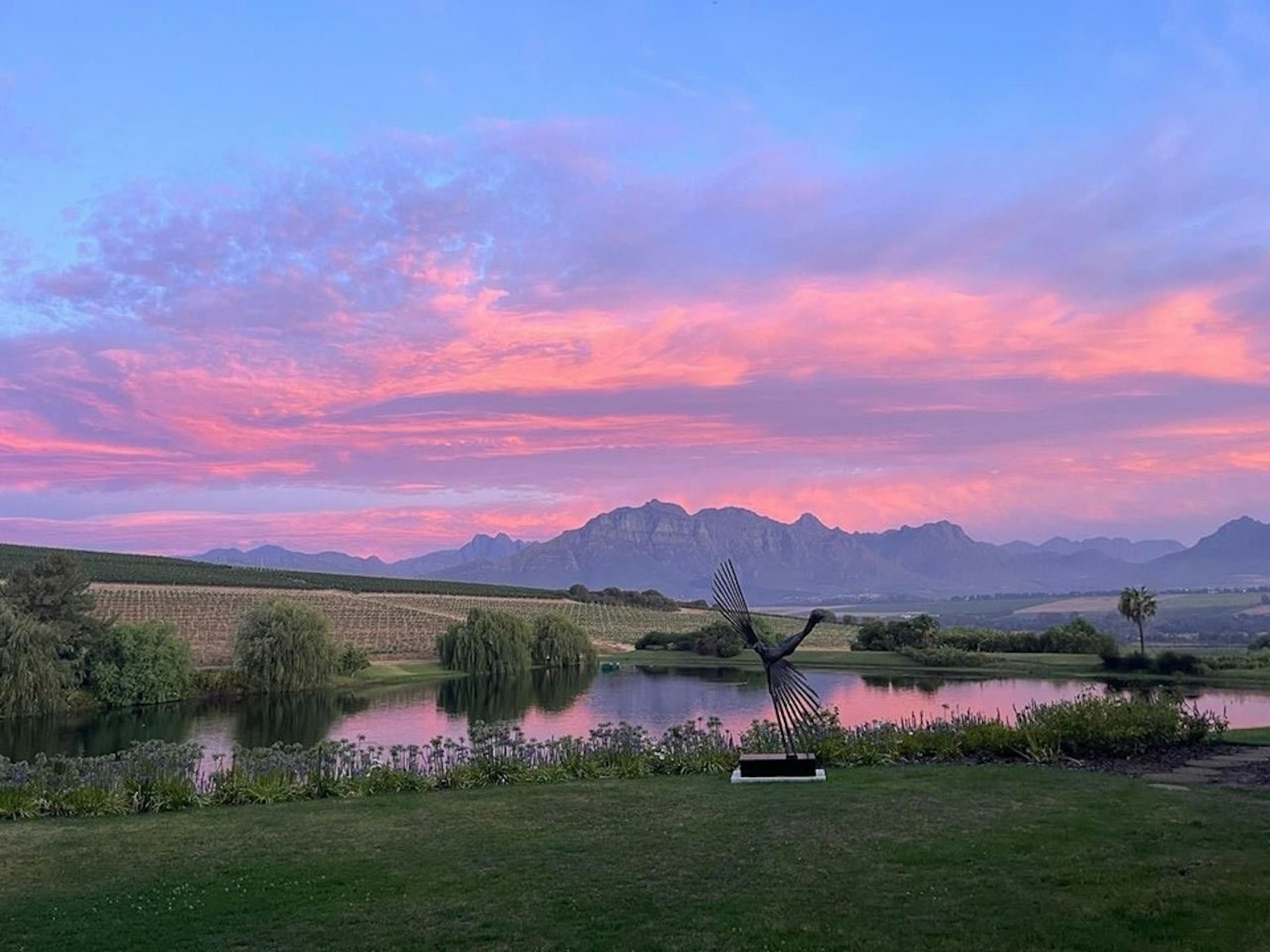 Asara Wine Estate and Hotel 43/50