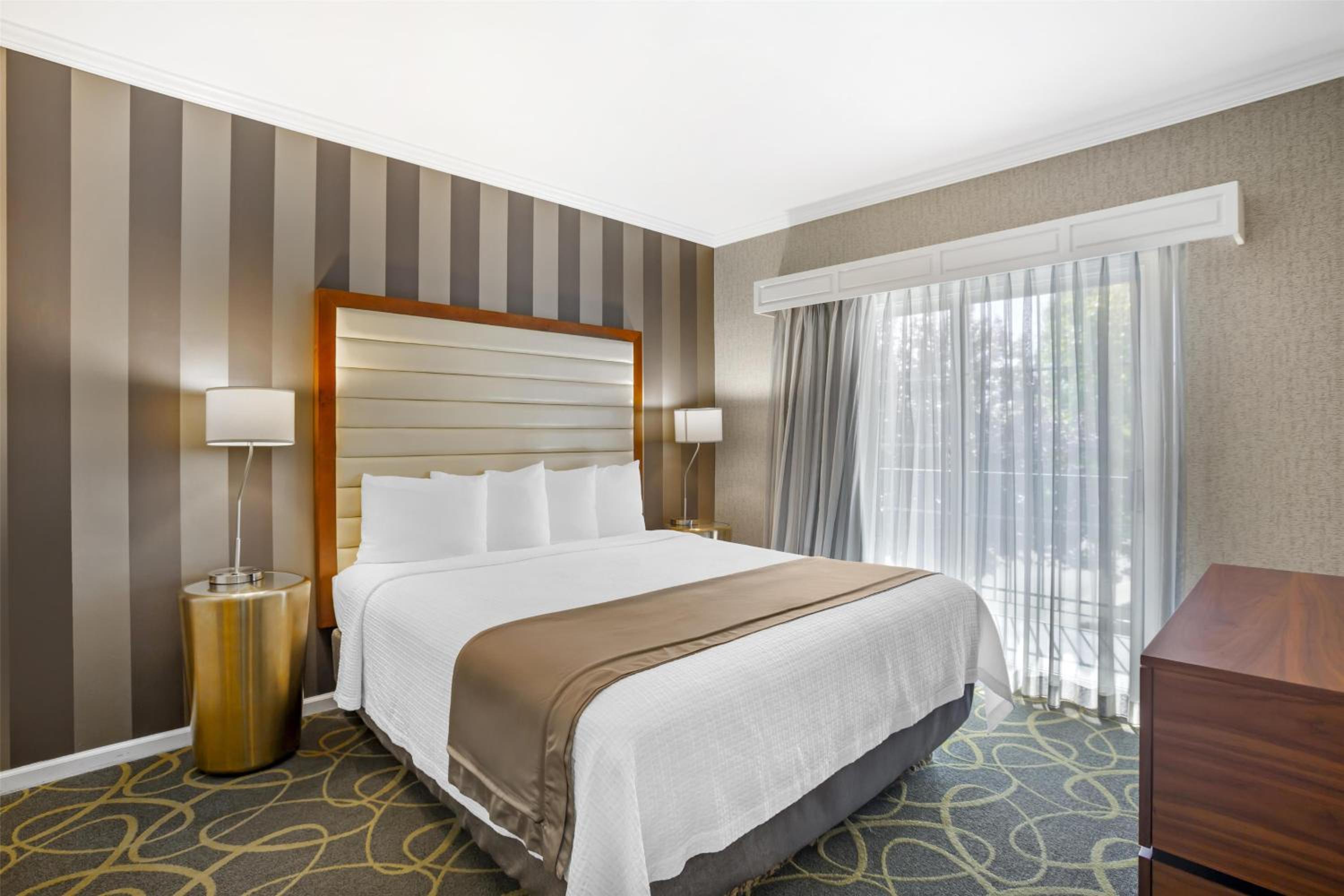 Suite, King Bed, Sofa