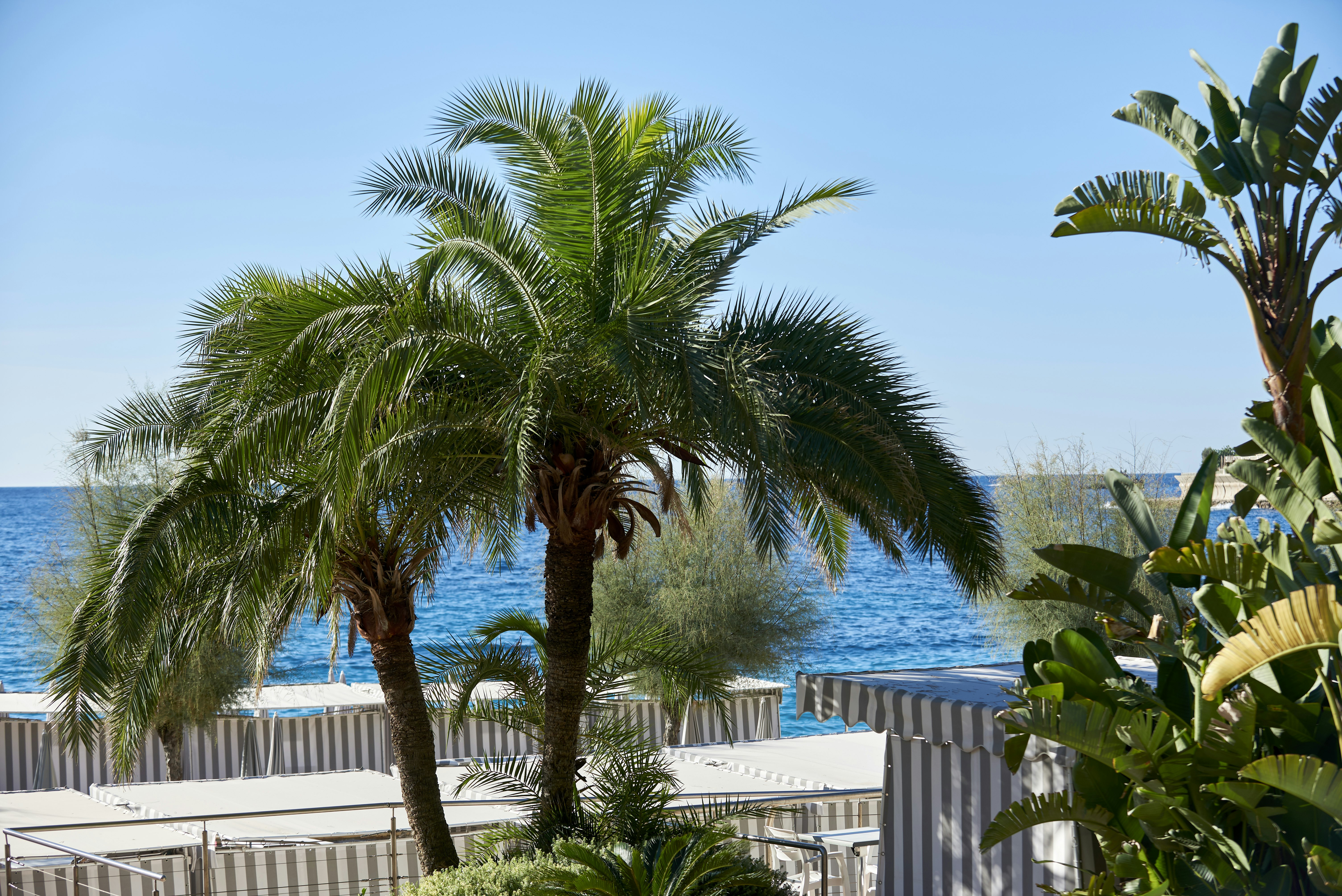 Monte-Carlo Beach Hotel 32/47